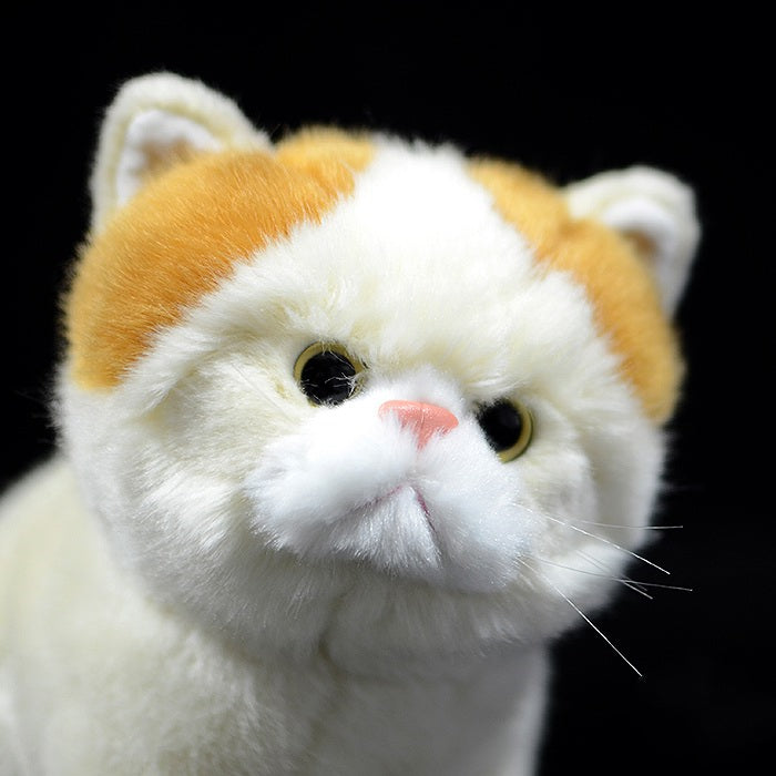 Exotic Shorthair Persian Cat Doll Plush Toy